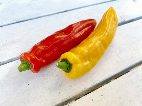 赤と黄色のスイートチリペッパー 赤と黄色のスイートチリペッパーの写真
