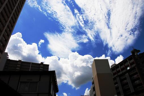 高層マンションと青空 ビル,ビル群,天気の写真素材