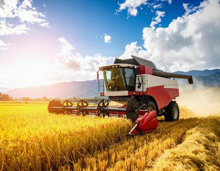 秋晴れの田園と黄金色の稲穂 秋晴れの田園と黄金色の稲穂の写真