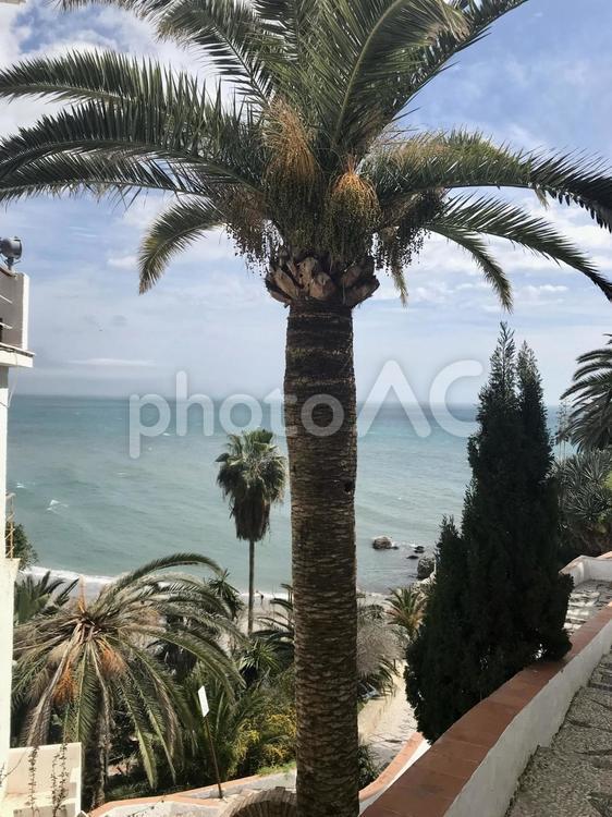 スペイン、ネルハの海と木 海外,欧州,ヨーロッパの写真素材