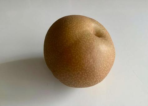 生協で購入した梨 生協で購入した梨の写真
