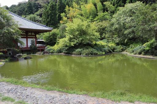 久安寺 虚空園パン字池 久安寺 虚空園パン字池 久安寺,虚空園,パン字池の写真素材