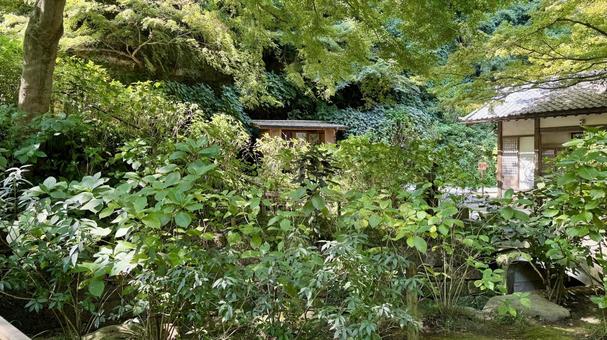 奥宮 奥宮 明月院,寺社仏閣,庭の写真素材