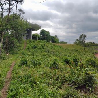 頂上付近の登山道の写真
