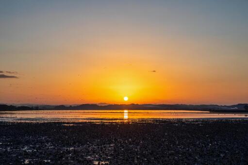 伊豆沼の朝(608) 伊豆沼,朝,朝焼けの写真素材