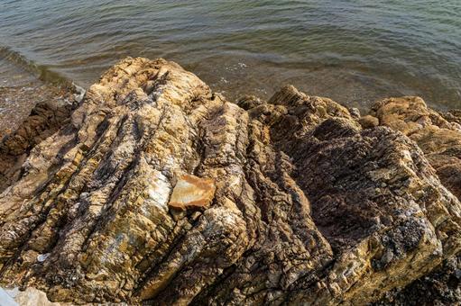 静岡県浜松市 秋の浜名湖　大崎　湖岸の岩の写真