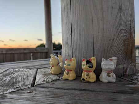 招き猫がぐるり 招き猫,海,公園の写真素材