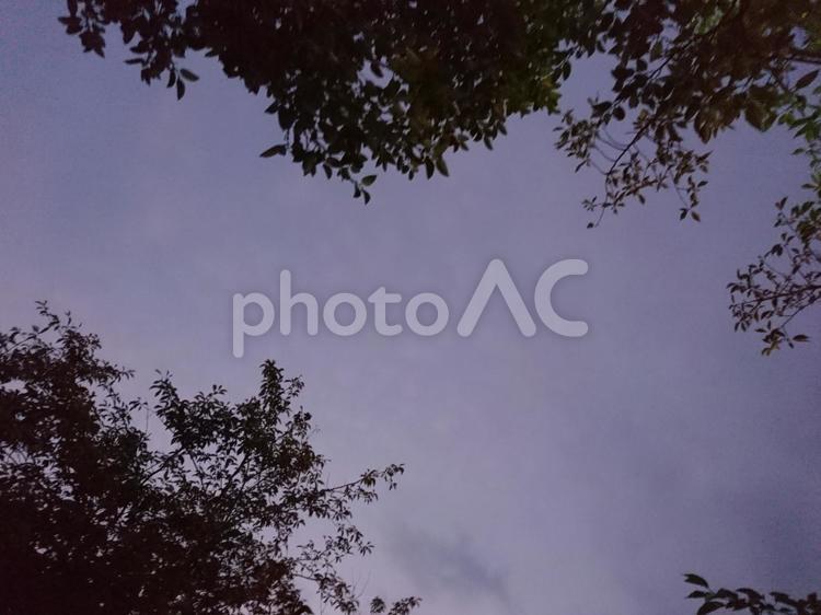 夕暮れの空 ゆうぐれ,シルエットで映す,バックグランドの写真素材
