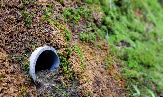 Photo, rain tube, gutter, get together, 