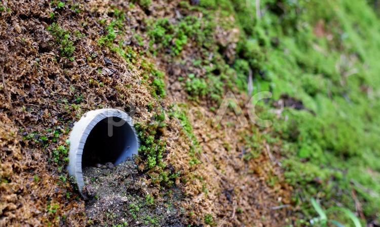 排水管　 雨水管,排水溝,集まるの写真素材