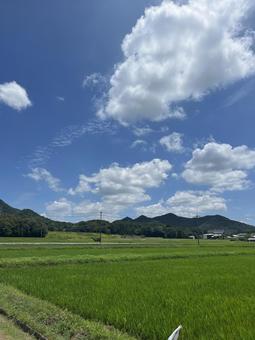 Photo, sky, healing, beautiful, 