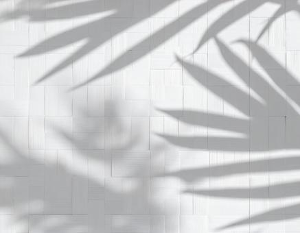 白いタイル壁に植物の影が差している背景の写真