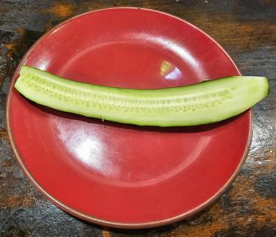 胡瓜 野菜,キュウリ,生野菜の写真素材