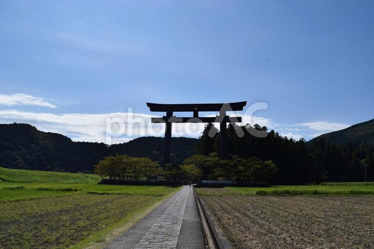 【和歌山】大斎原大鳥居の風景 大斎原大鳥居,鳥居,熊野本宮の写真素材