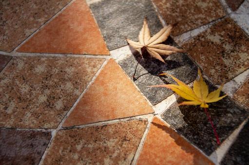 テーブルの上に紅葉 テーブルの上に紅葉の写真
