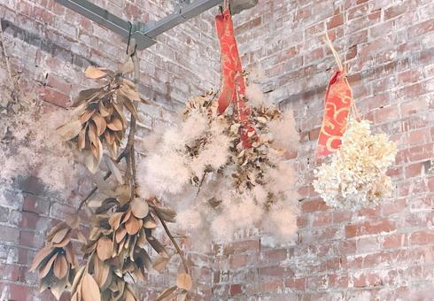 ドライフラワー ドライフラワー,白い壁,ホワイトの写真素材