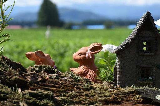 北海道の空 北海道の空の写真