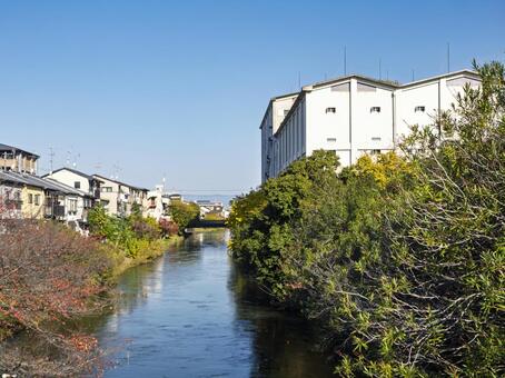 水辺に広がる秋色の町並み 川,町並み,自然の写真素材