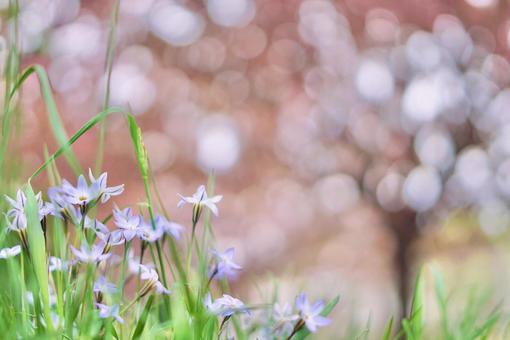 青と緑とピンクの写真