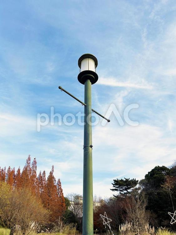 公園灯と木々と空模様 公園灯,公園,街灯の写真素材