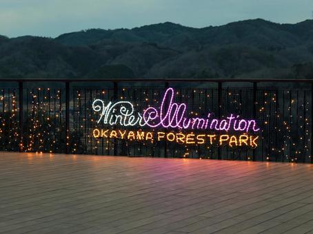 ドイツの森 屋外,イルミネーション,冬の写真素材