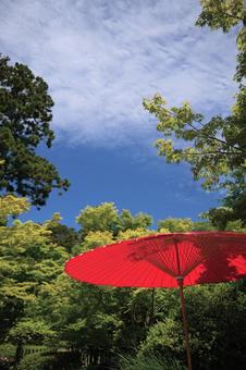 映える赤傘 風景,傘,空の写真素材