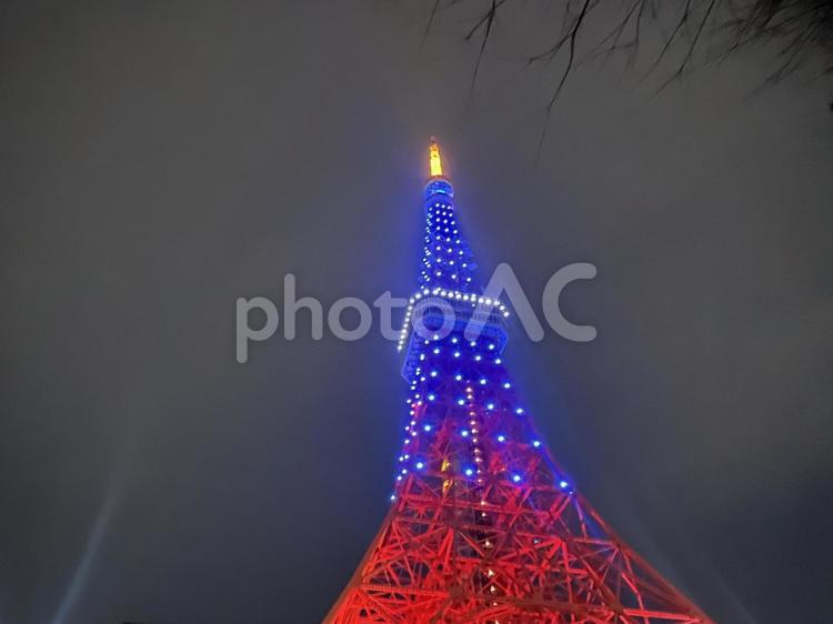 青と赤のライトアップ　東京タワー 東京タワー,港区,タワーの写真素材