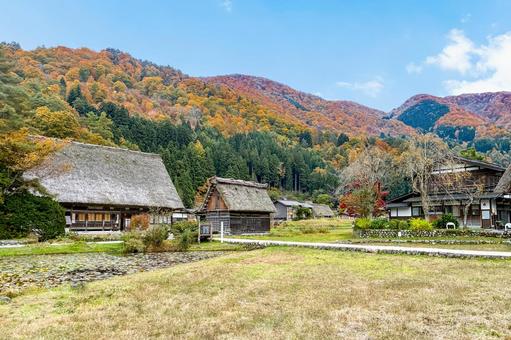紅葉した山々と白川郷の風情ある茅葺きの家 合掌造り,白川郷,家屋の写真素材