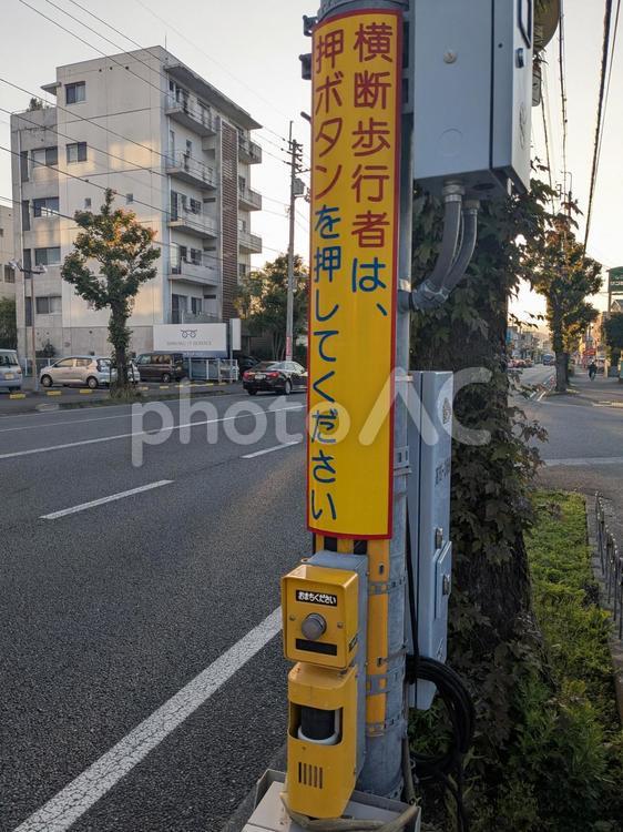 横断歩道の歩行者用押しボタン ボタン,横断歩道,歩行者の写真素材