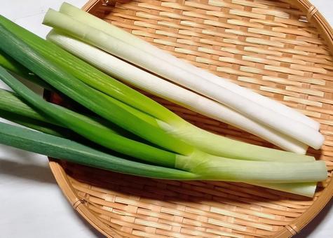 長ネギの写真