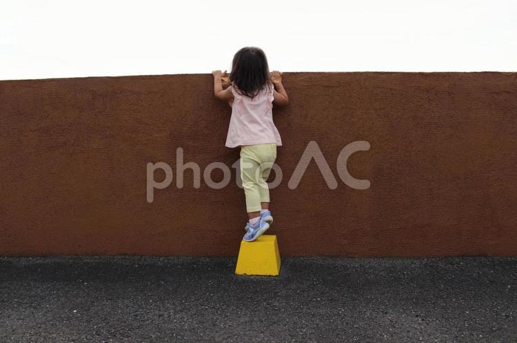 のぼる　のぞく　子供 のぼる,のぞく,子供の写真素材