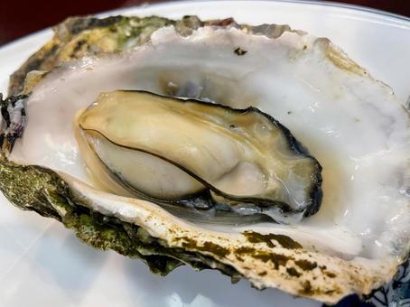 焼き牡蠣 牡蠣,焼き牡蠣,松島の写真素材