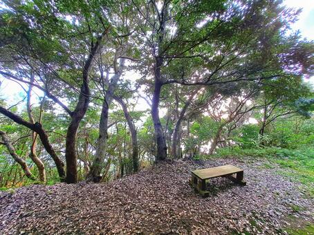奄美大島　大和村 奄美大島,奄美,大和村の写真素材