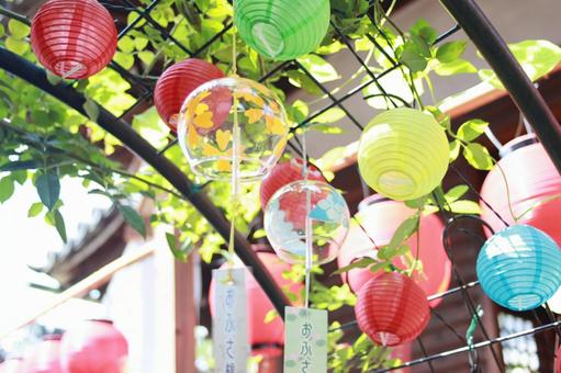 おふさ観音風鈴まつり おふさ観音風鈴まつり 盆栽,庭木,風鈴の写真素材