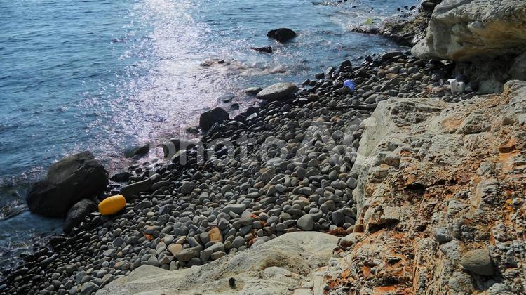 東尋坊 東尋坊,海,海岸の写真素材