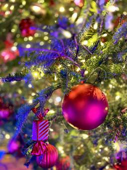 クリスマスツリー クリスマス,クリスマスツリー,オーナメントの写真素材