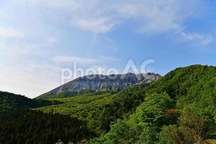 南から見た大山（鳥取県・岡山県） 大山,南壁,鳥取県の写真素材