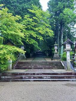 日枝神社 日枝神社の写真