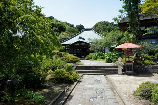 ［神奈川県鎌倉市］海蔵寺｜花の寺 鎌倉,海蔵寺,花の寺の写真素材