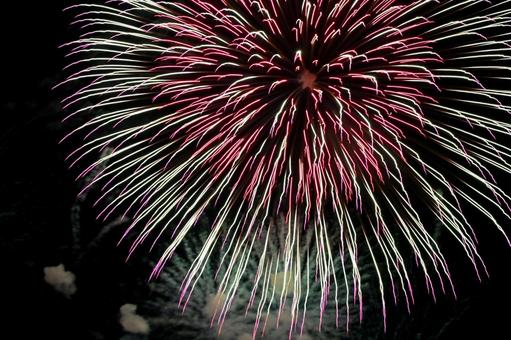 花火 花火の写真