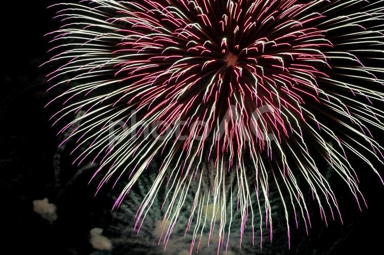 花火 花火,はなび,夜空の写真素材