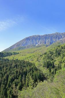 新緑の鍵掛峠から望む大山 8 新緑の鍵掛峠から望む大山 8の写真