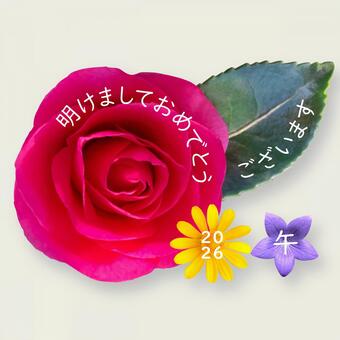 花の年賀状 2026 年賀状,2026,午の写真素材