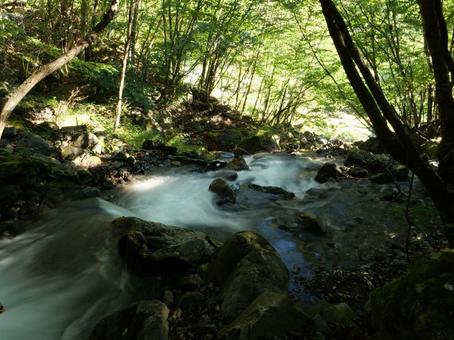 大門沢登山道 沢 大門沢登山道 沢 白根三山,北岳,間ノ岳の写真素材