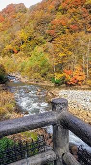 苗名の滝 苗名の滝 自然,絶景,秋の写真素材