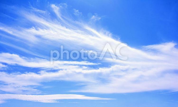 空画像・背景素材/秋空・青空と雲 空,雲,空画像の写真素材