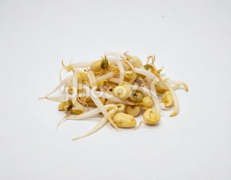 もやし 3 もやし,食品,新鮮なの写真素材
