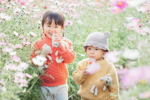 コスモス畑で笑う子どもたち コスモス畑で笑う子どもたち 子ども,シャボン玉,遊ぶの写真素材