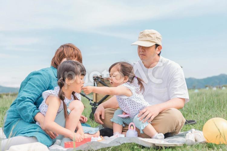 公園でピクニックする家族（ランチ） ピクニック,ランチ,家族の写真素材