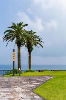 堀切峠 宮崎県宮崎市 堀切峠 宮崎県宮崎市 南国,夏,青空の写真素材
